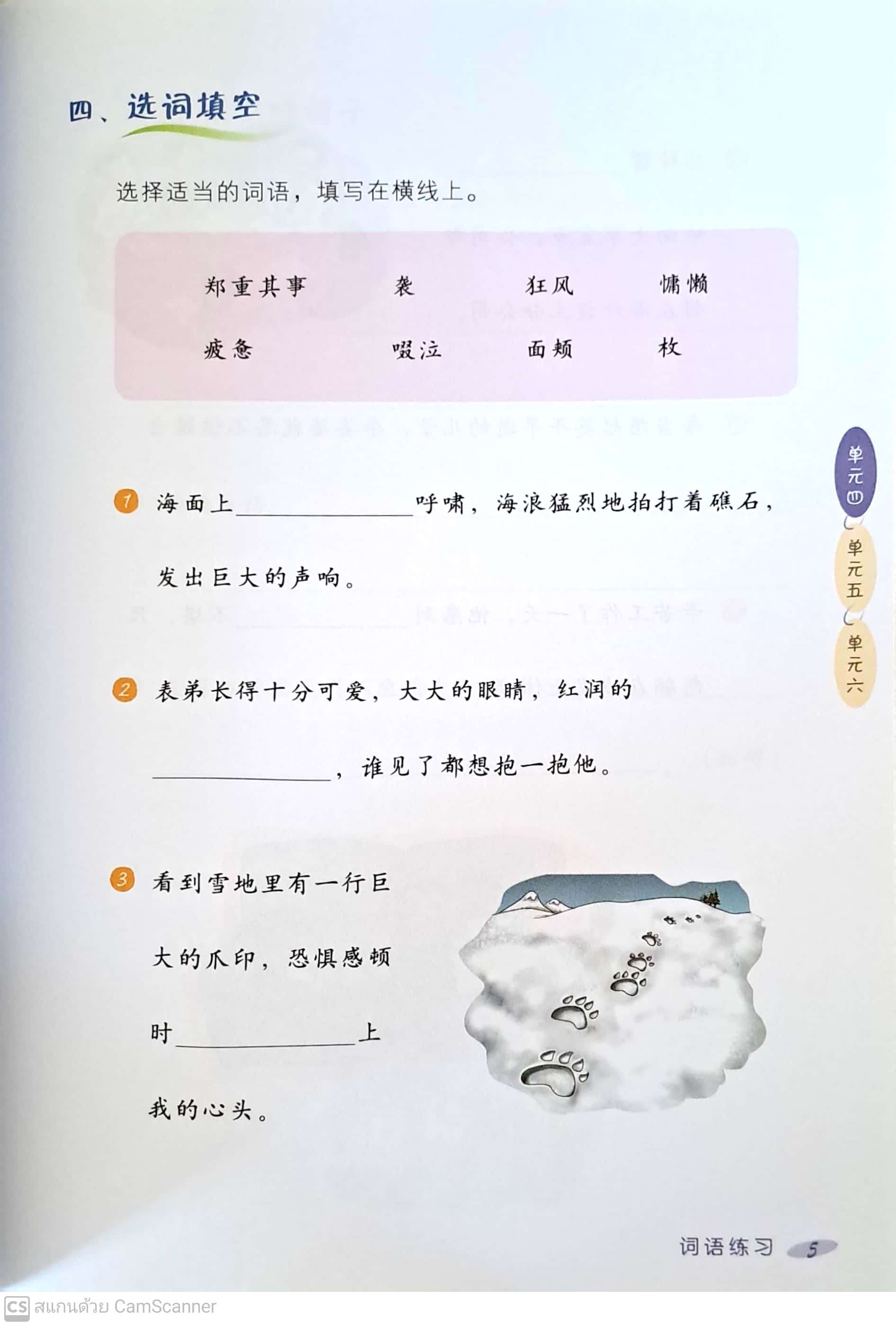 แบบฝึกหัดภาษาจีน ม.3 Chinese Language For Sec Schools (CLSS) Workbook 3B (NA)