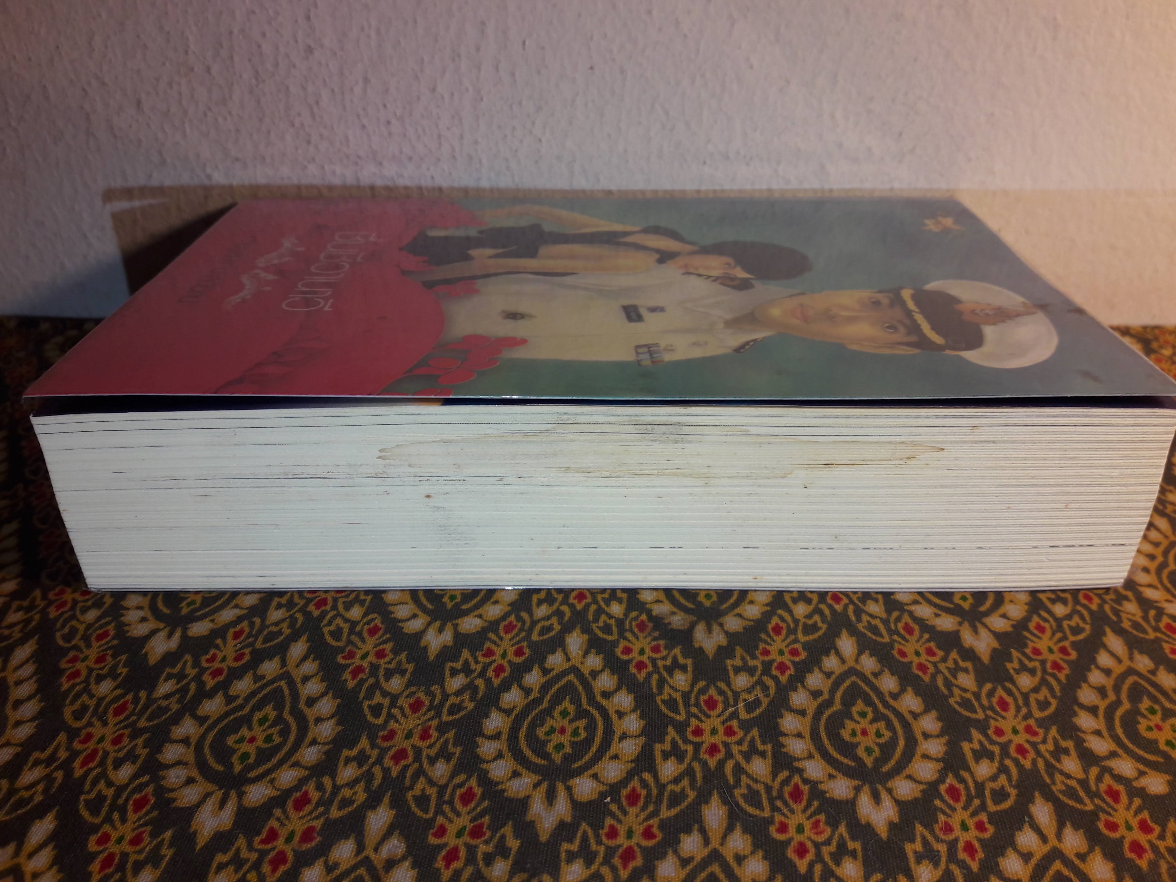 ชื่นชีวานาวี