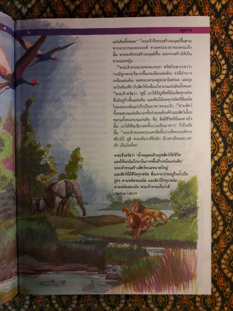 พระคัมภีร์ สำหรับครอบครัว The Illustrated Family Bible
