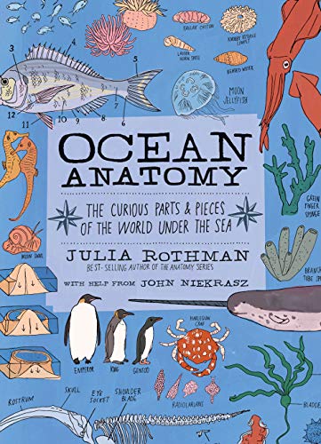 OCEAN ANATOMY: THE CURIOUS PARTS & PIECE