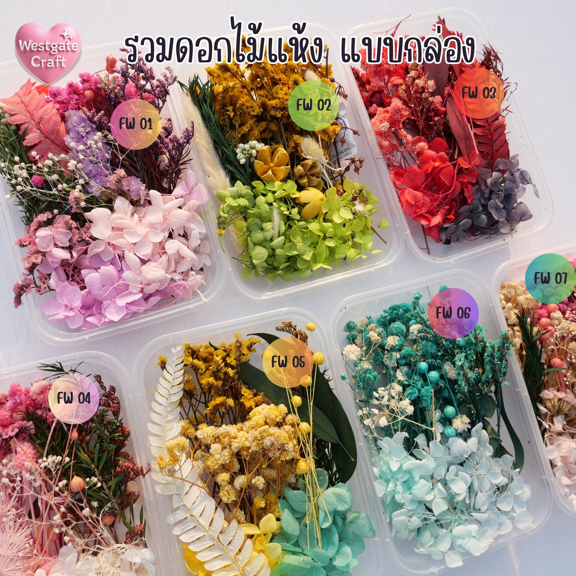 รวมดอกไม้แห้ง แบบกล่อง คละขนาด FW 01-09 , ดอกไม้แห้งจริง