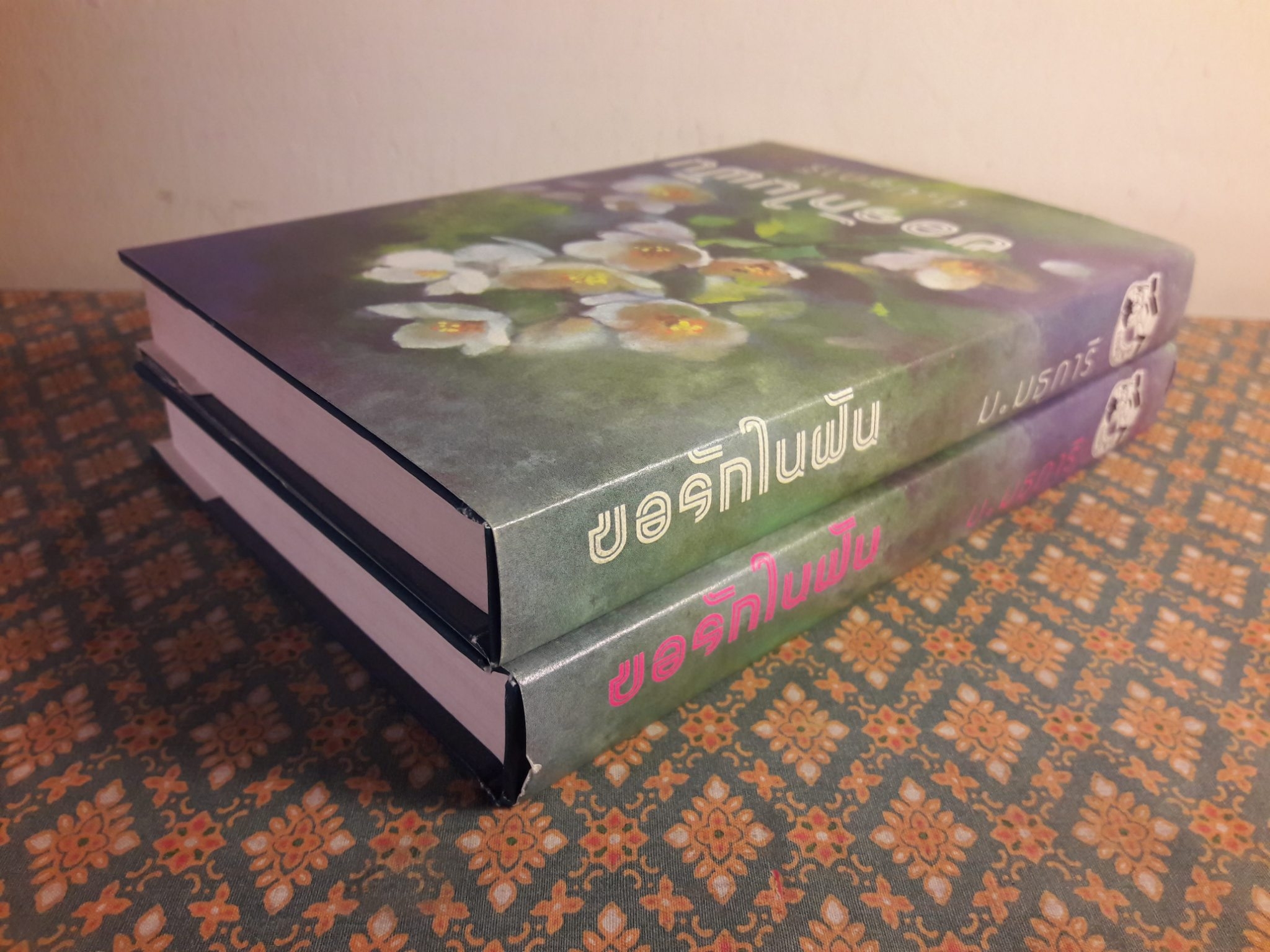 ขอรักในฝัน (2 เล่มจบ)