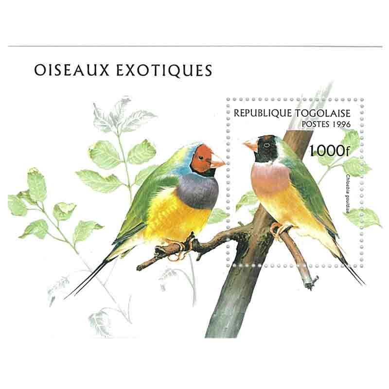 Togo Stamp, 1996 Bird, Wildlife, Tree, Nature