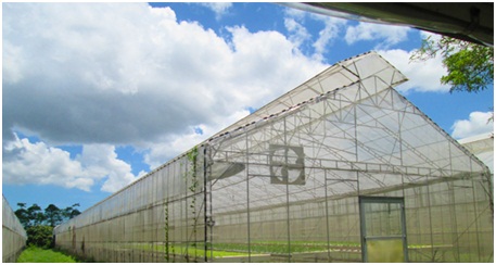 มุ้งกันแมลง 32 ตา