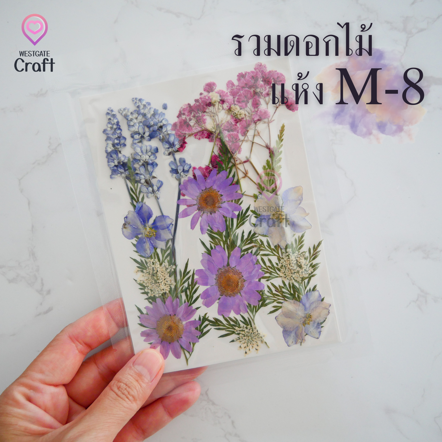 รวมดอกไม้แห้ง M ดอกไม้แห้งทับ ดอกไม้แบบคละ