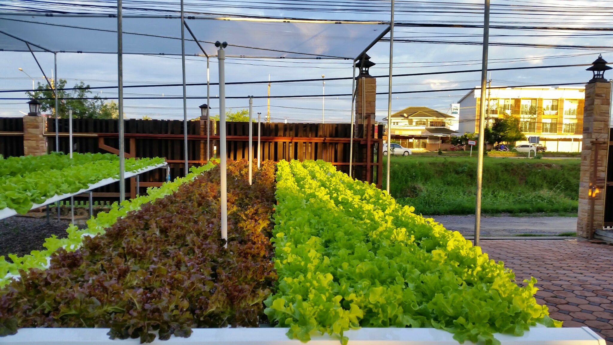 ร้านอาหาร A7 หัวหิน