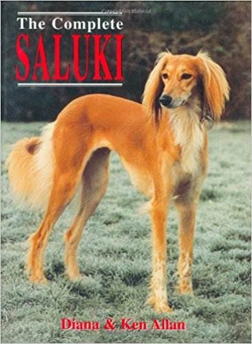 Complete Saluki ISBN 9781860541957