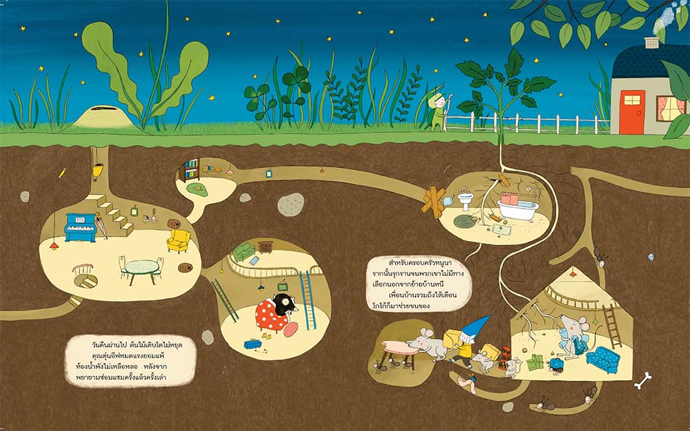 NANMEEBOOKS หนังสือ เมล็ดประหลาดในสวนของจาโก้ (ปกแข็ง) : นิทาน