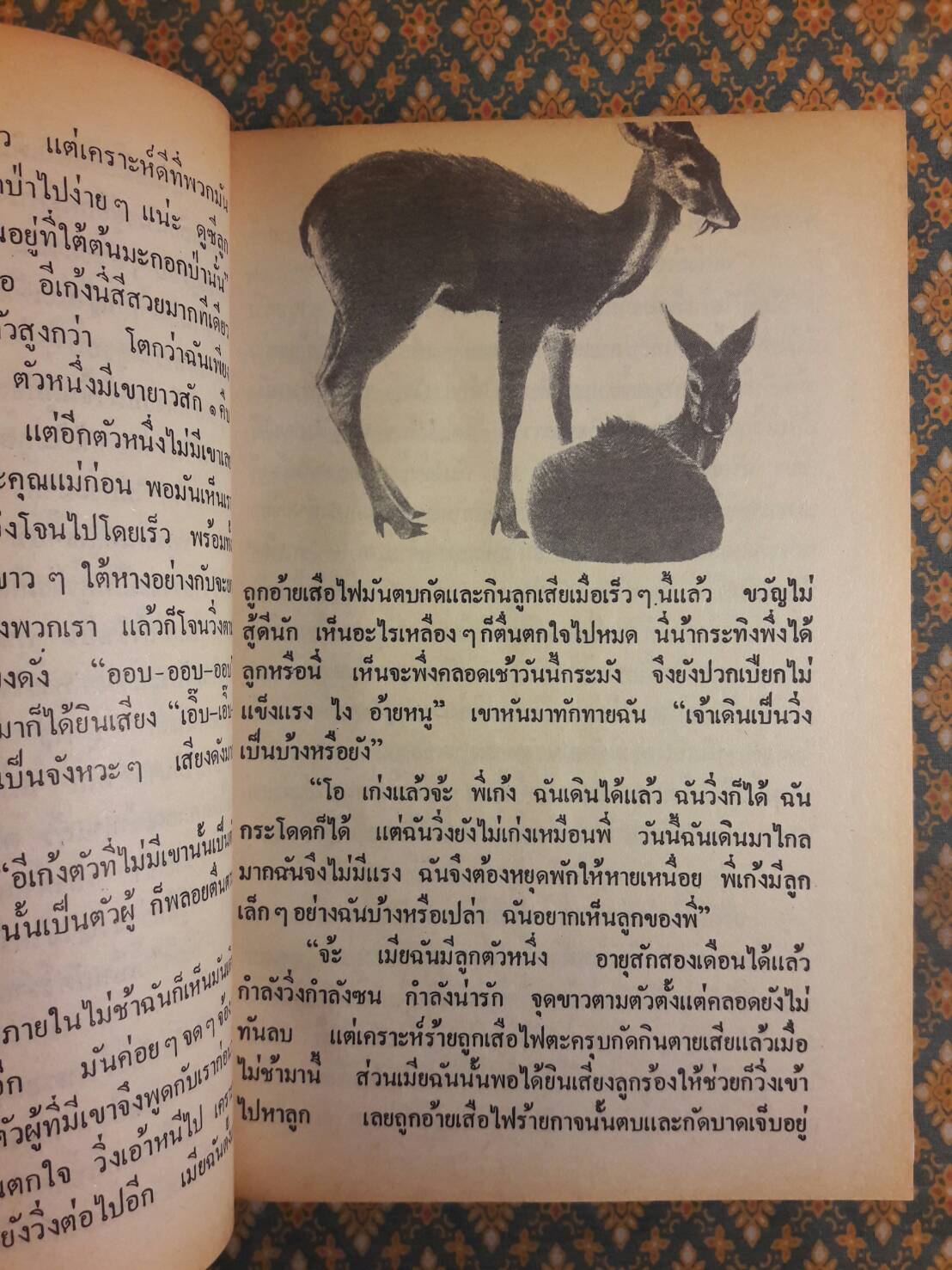 ชีวิตของฉันลูกกระทิง “หนังสือดี 100 ชื่อเรื่อง ที่เด็กและเยาวชนไทยควรอ่าน”
