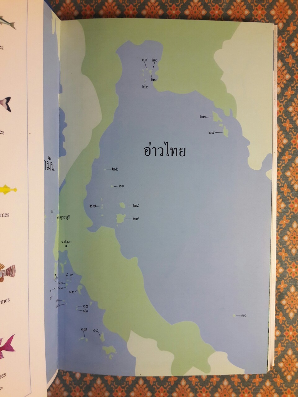 ปลาทะเลไทย เล่ม 1 “พร้อมซีดี”