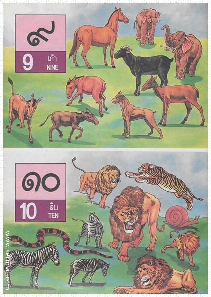 แบบหัดเรียน ก.ไก่ (ใหญ่ปรู๊ฟ)