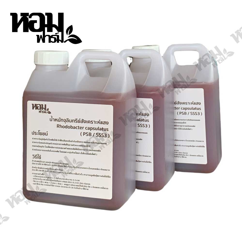 หัวเชื้อจุลินทรีย์สังเคราะห์แสงแท้ 100% สูตรเข้มข้น ตราหอมฟาร์ม พร้อมฉลากวิธีใช้ วิธีขยายหัวเชื้อ Phodobacter capsulatus ( PSB / SSS3 )