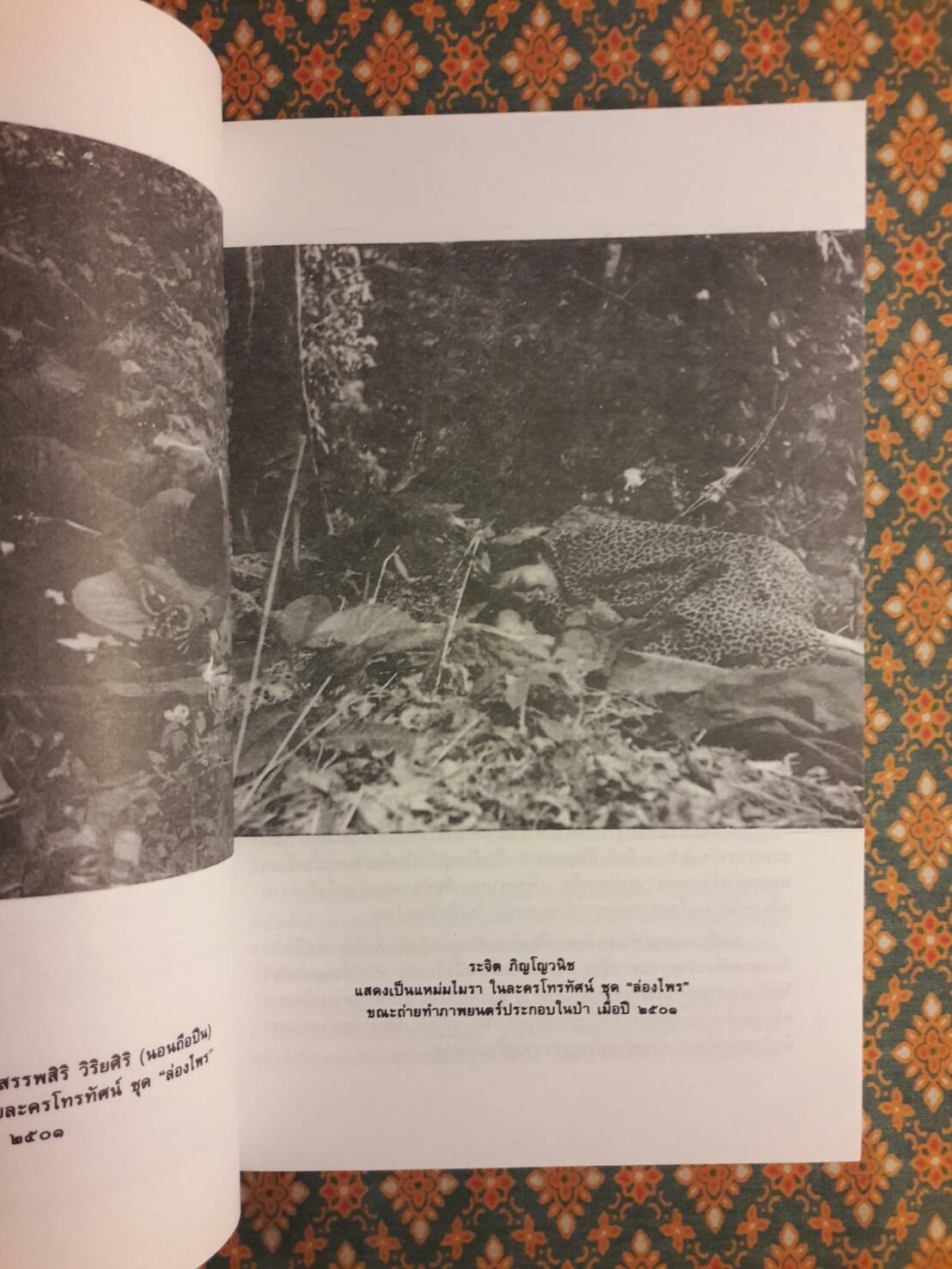 ล่องไพร (13 ตอน 14 เล่มจบ)