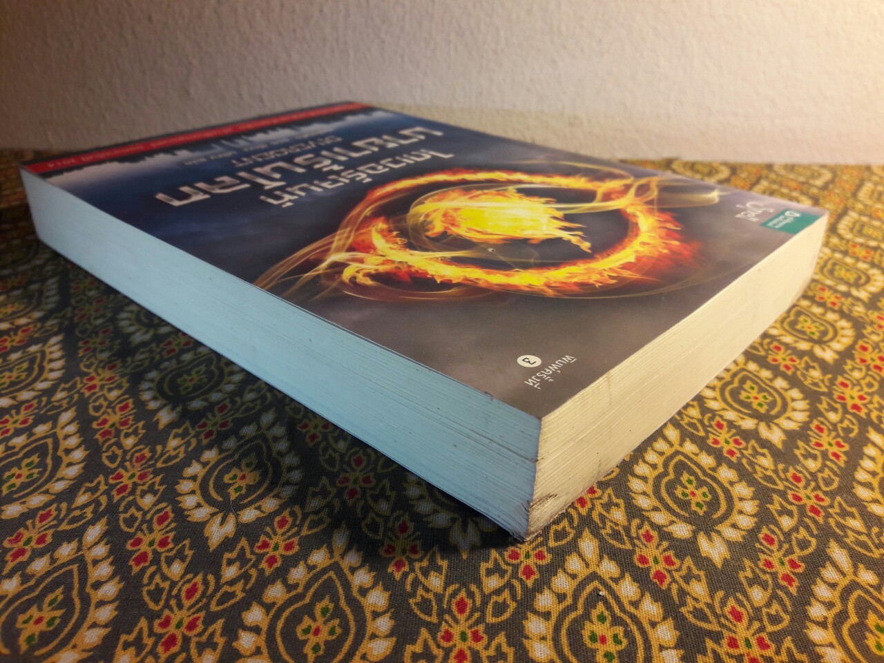 ไดเวอร์เจนท์ มายาเร้นโลก