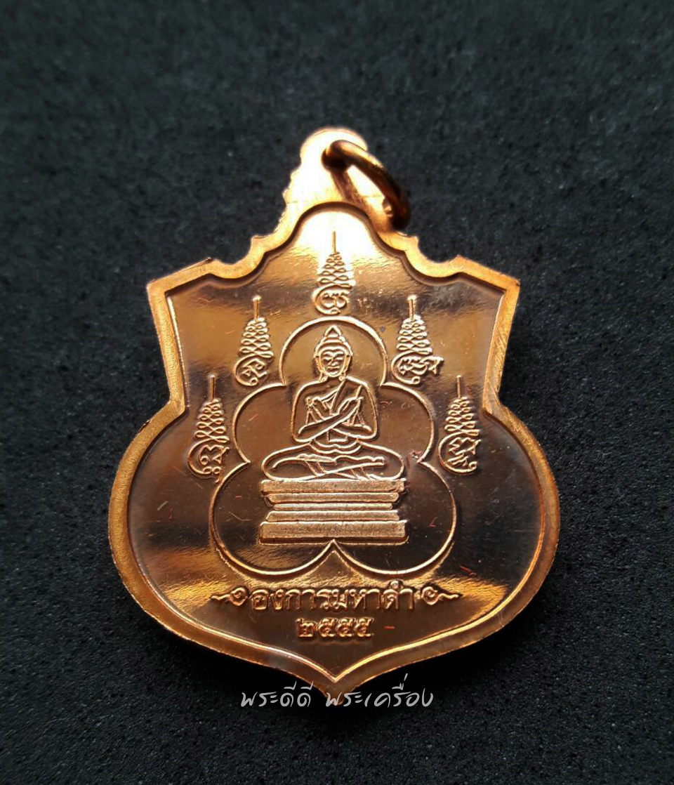 เหรียญ 2 มหาราช หลังยันต์องการมหาแคล้ว สมทบทุนสร้าง ร.พ. 84 พรรษามหาราช พ.ศ. 2555 เนื้อทองแดงขัดเงา