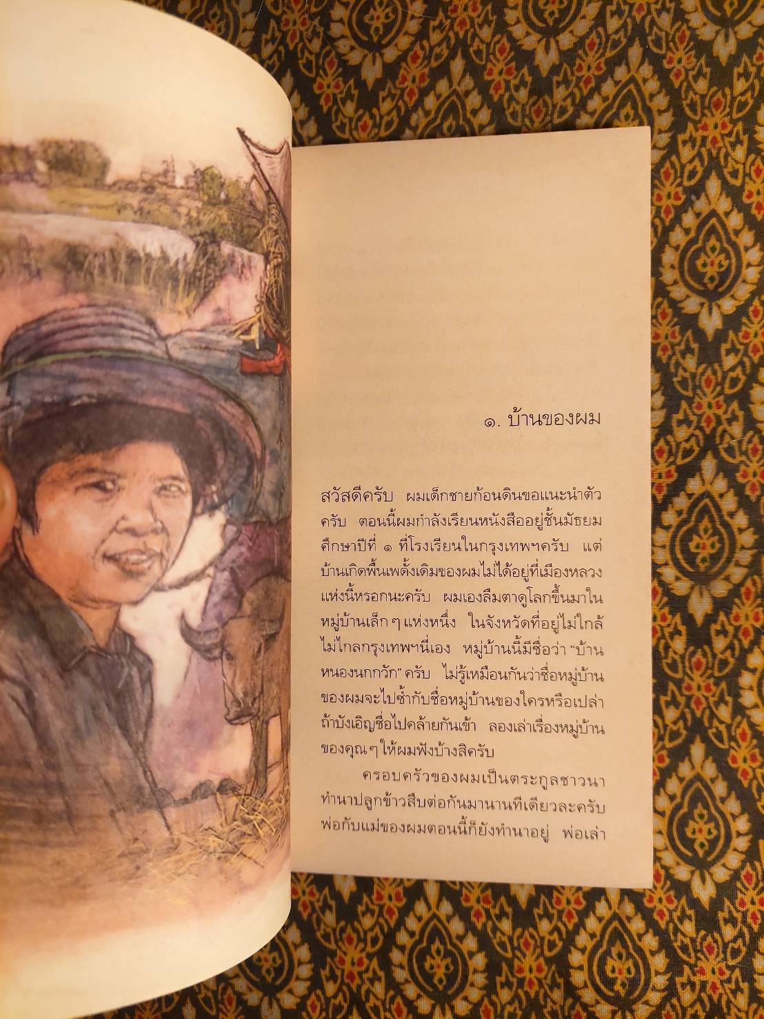 บันทึกของเด็กชายก้อนดิน