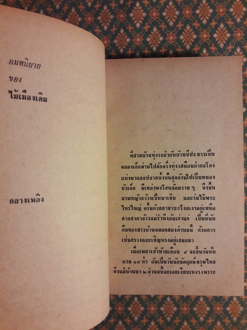 กลางเพลิง ล้างบาง