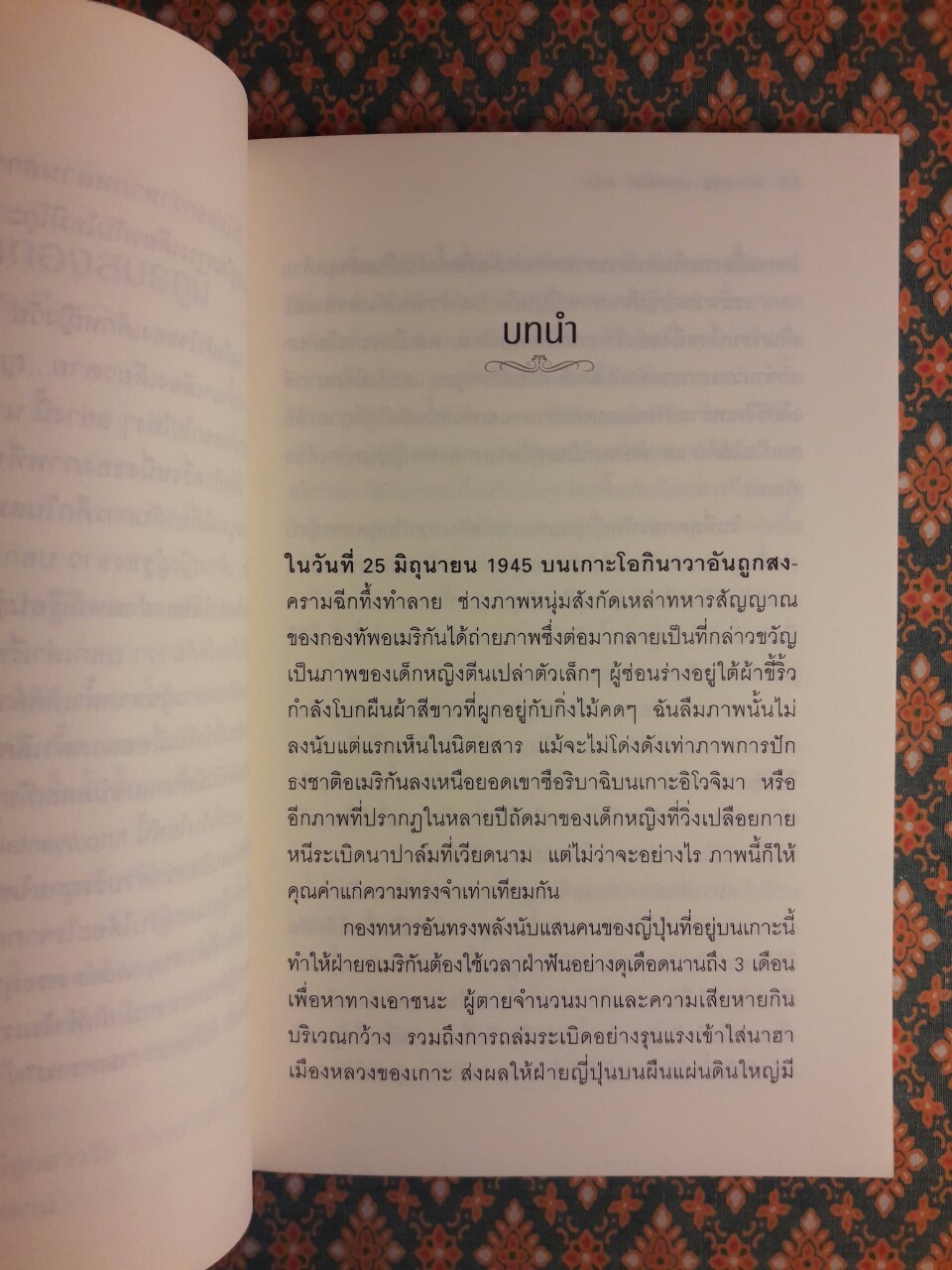 เด็กหญิงผู้ชูธงขาว The Girl with The White Flag