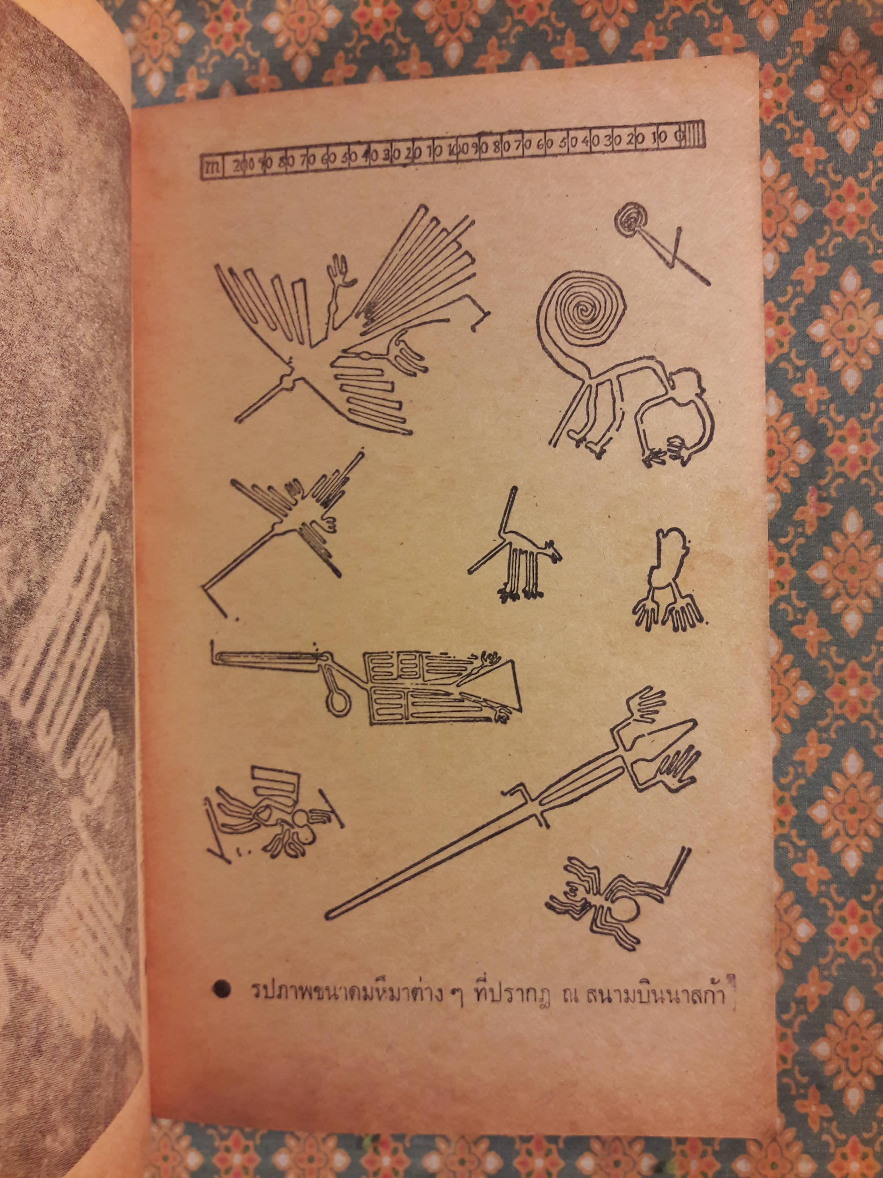 สารพัดพิศวง