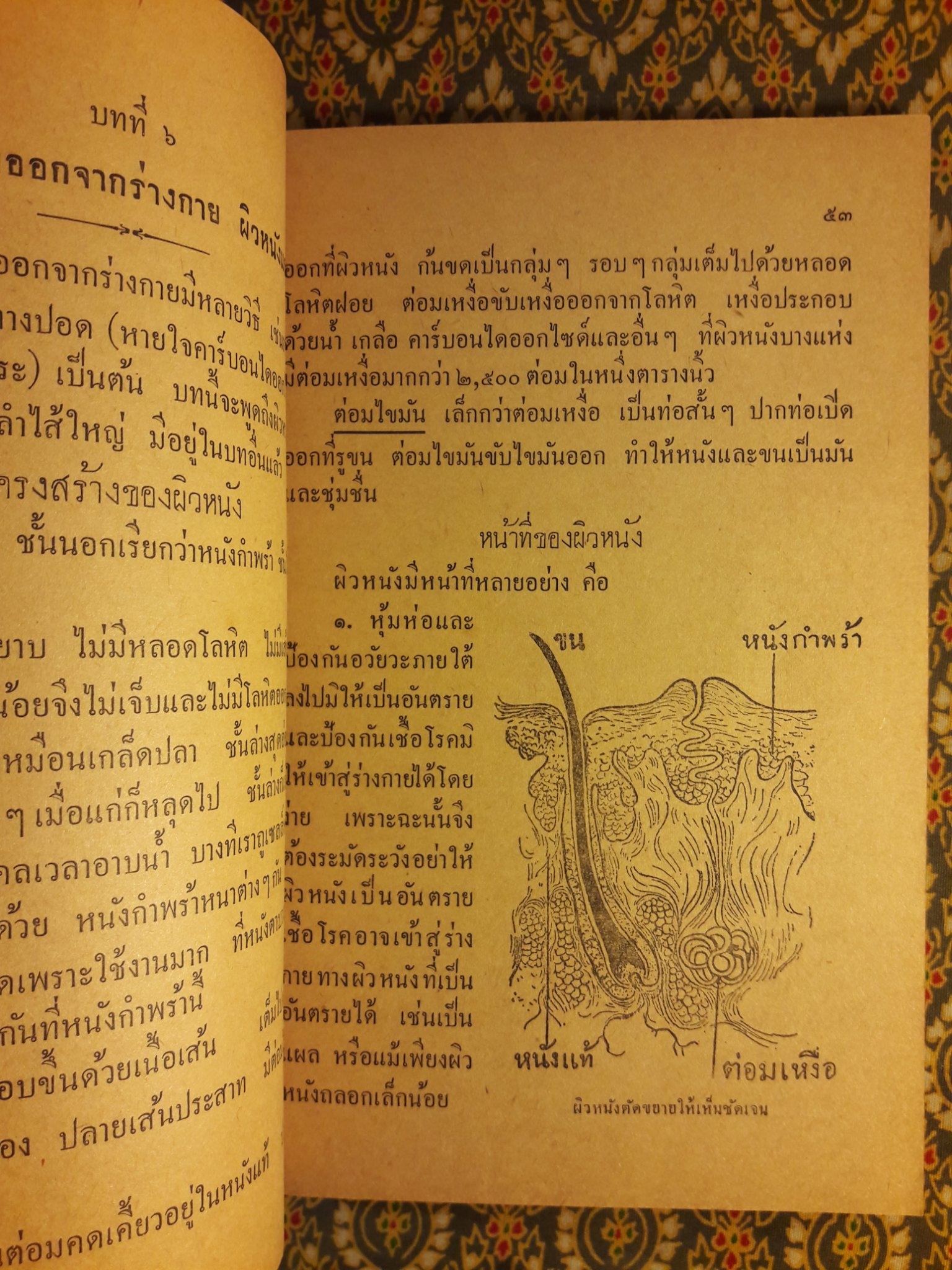 สุขศึกษา ชั้นมัธยมปีที่ 3