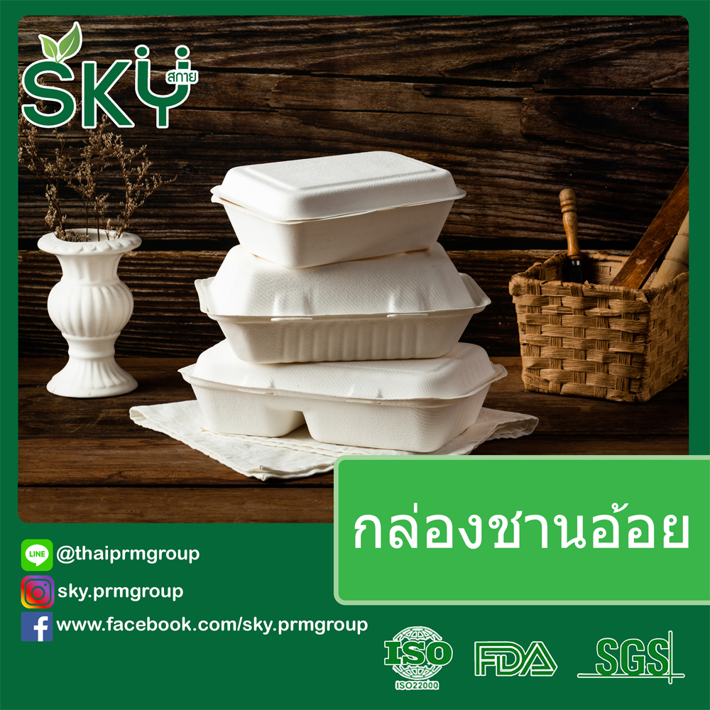 [ยกลัง250 ชุด] SKY กล่องอาหารชานอ้อยฝาปิด 2ช่อง รุ่น B010-2