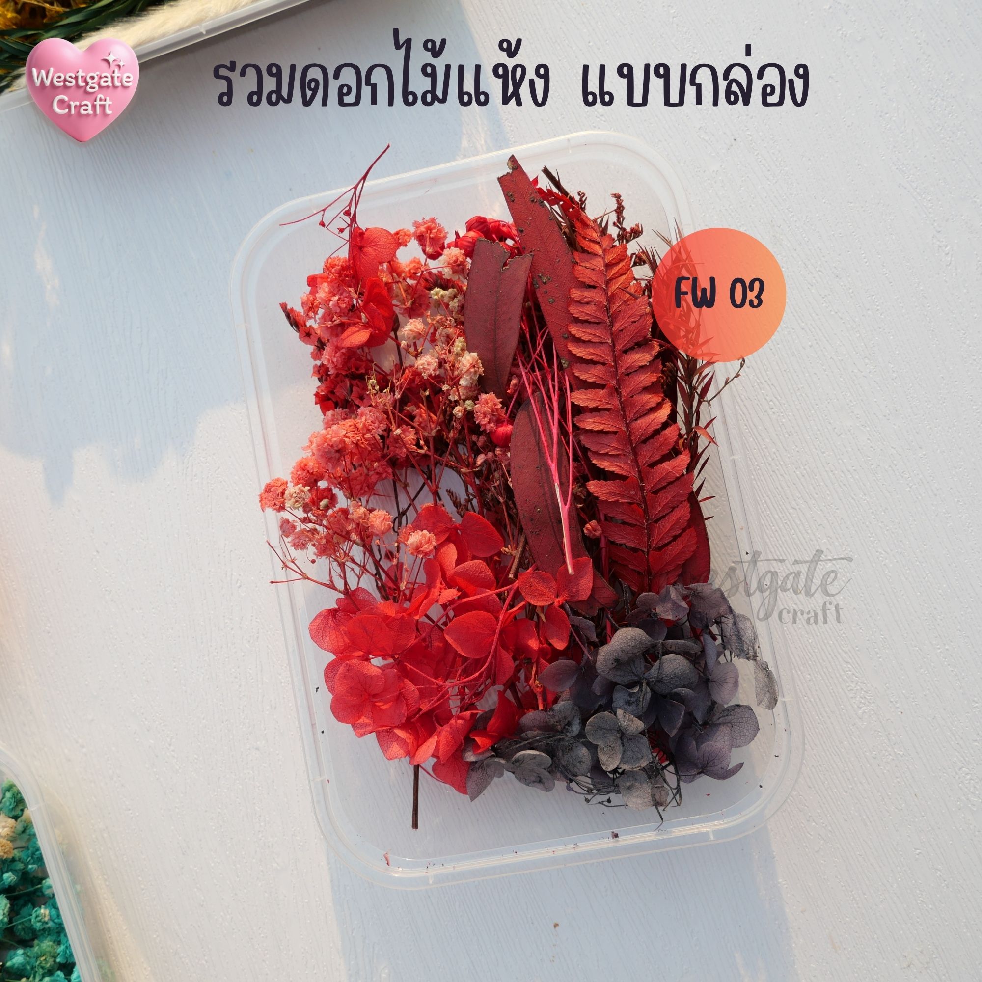 รวมดอกไม้แห้ง แบบกล่อง คละขนาด FW 01-09 , ดอกไม้แห้งจริง
