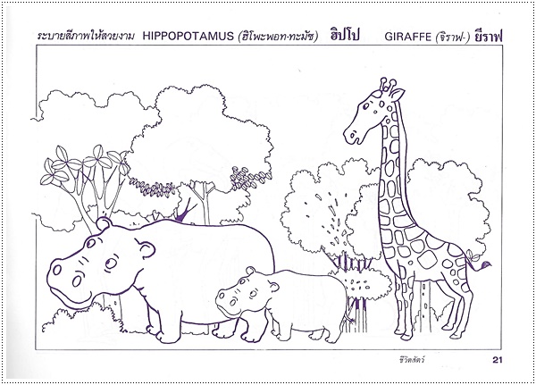 ชีวิตสัตว์