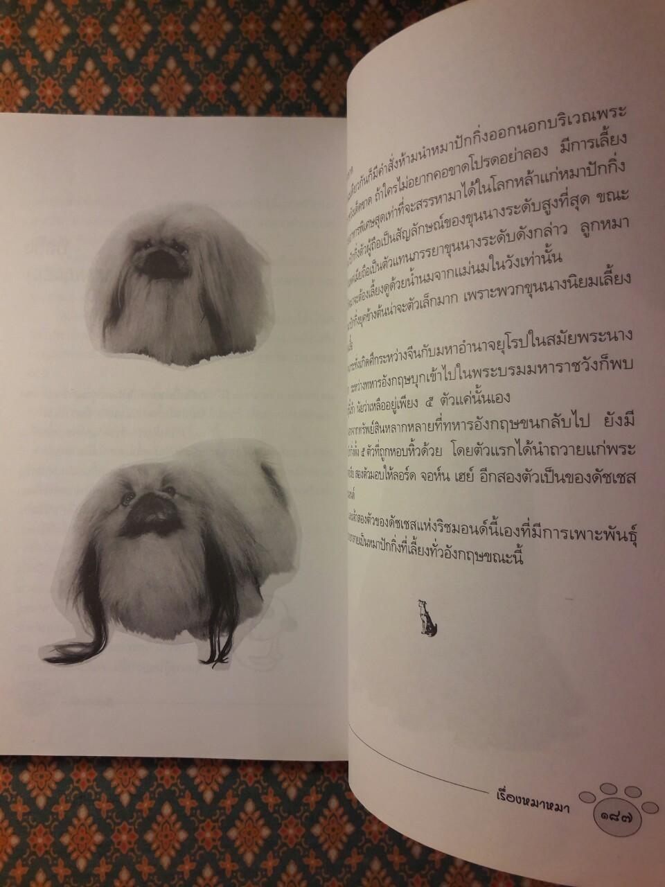 เรื่องหมาหมา