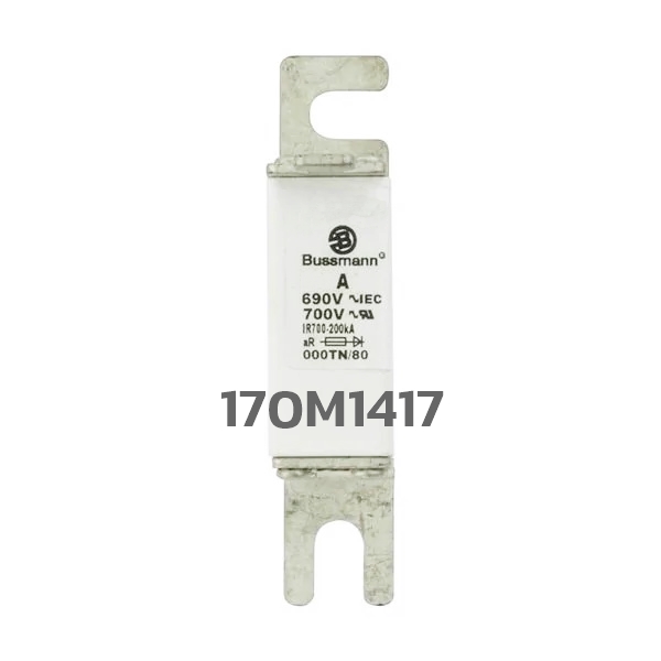 ฟิวส์ใบมีด แบบเหลี่ยม 170M1417 100A 690V Bussmann / Eaton | ขายฟิวส์ของแท้