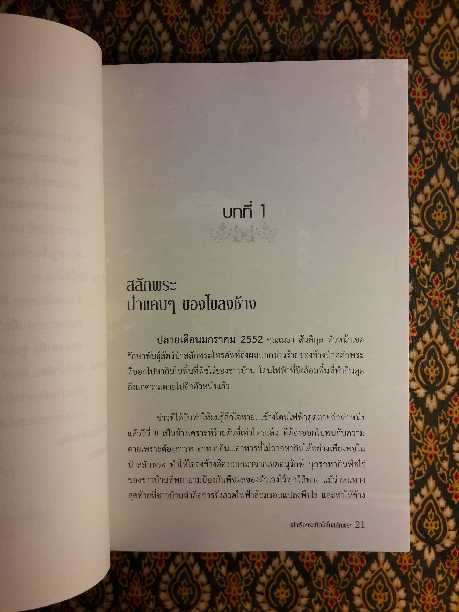 เล่าเรื่องระทึกใจในสลักพระ