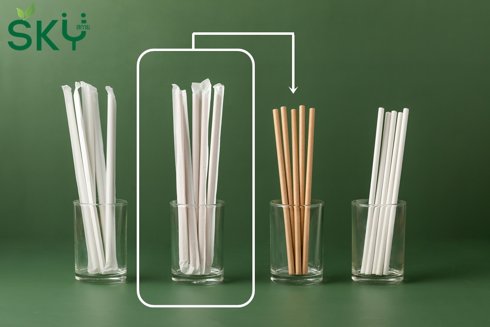 SKY [แพ็คห่อพลาสติก 50ชิ้น] สีน้ำตาล หลอดเยื่อกระดาษธรรมชาติ - ห่อซองกระดาษแยกชิ้น