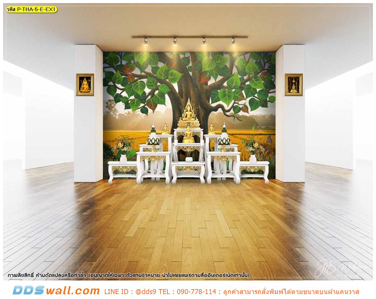 วอลเปเปอร์ฉากหลังห้องพระสวยๆ ลายลิขสิทธิ์ภาพต้นโพธิ์ใหญ่พื้นหลังทุ่งข้าวสีทอง สวยงาม