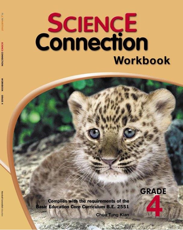 Science Connection Workbook 4