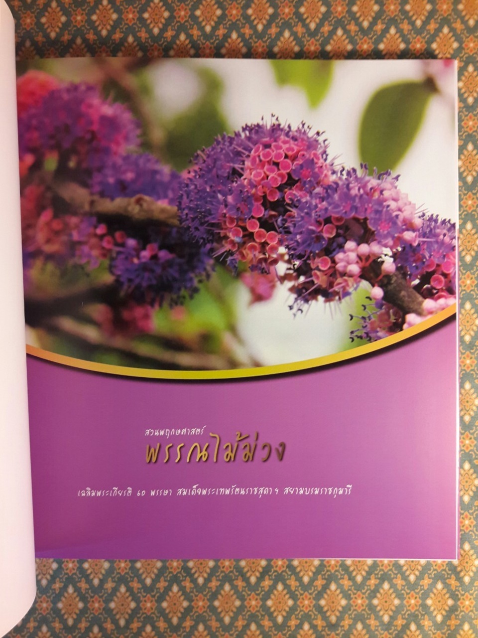 สวนพฤกษศาสตร์ พรรณไม้ม่วง