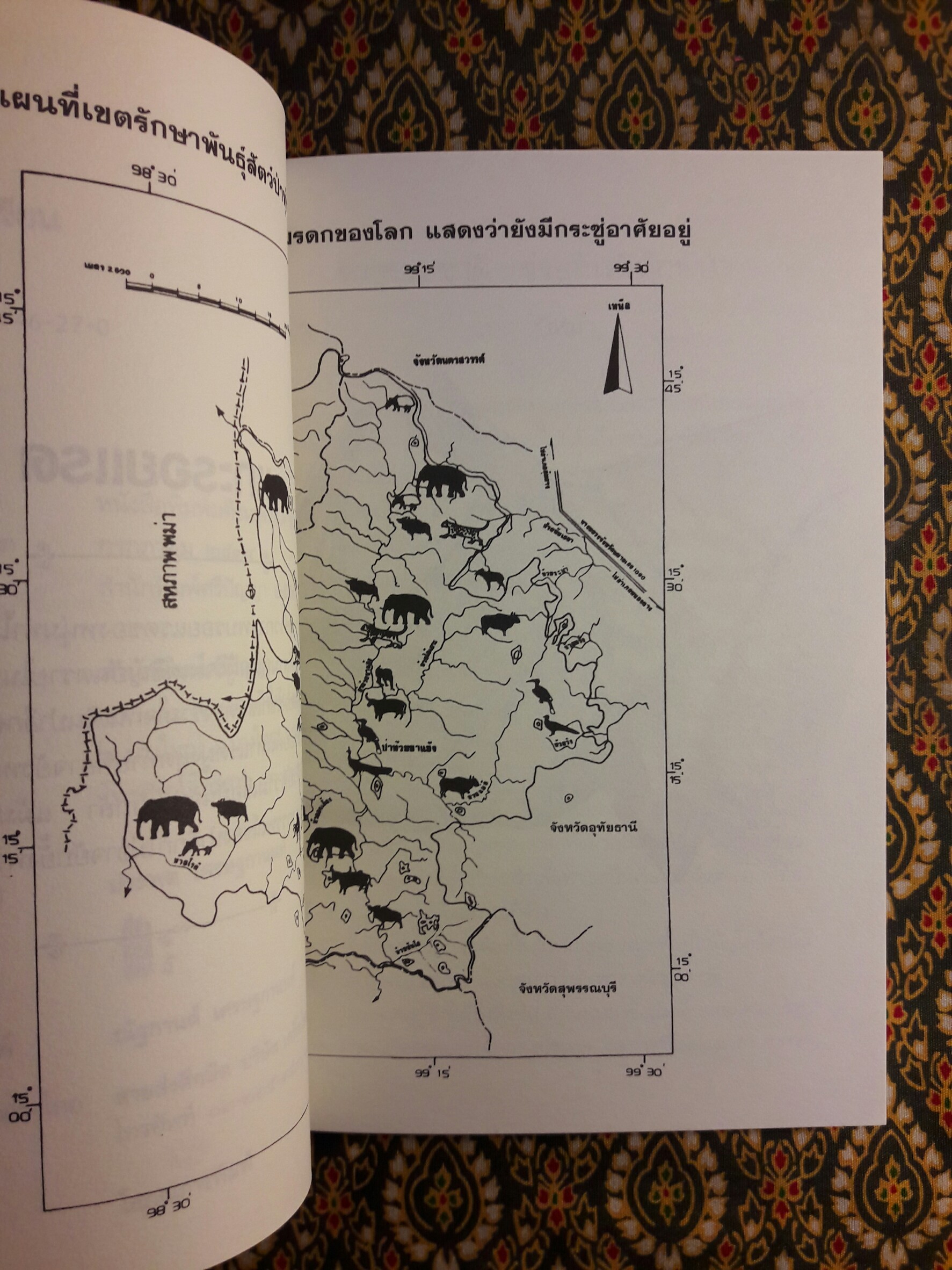 แกะรอยแรด