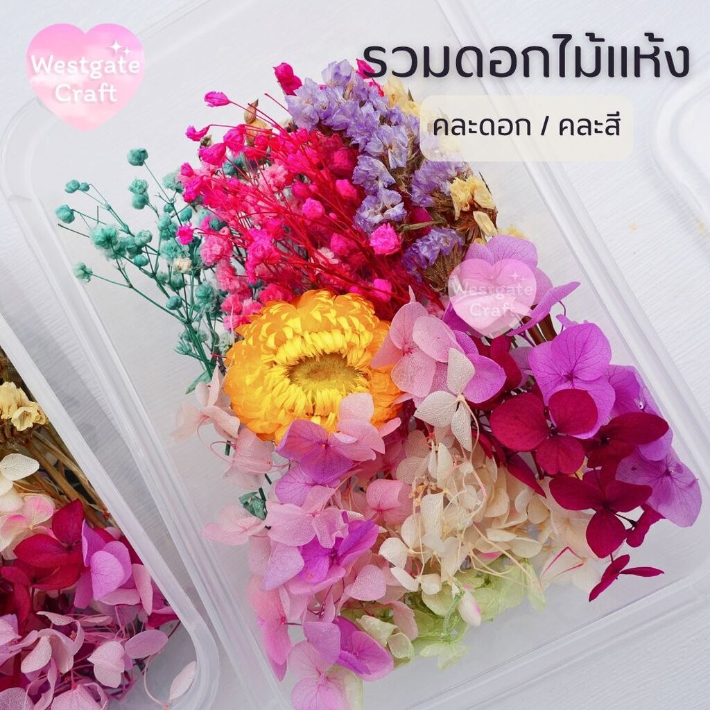 รวมดอกไม้แห้ง แบบกล่อง คละดอก คละสี สุ่ม