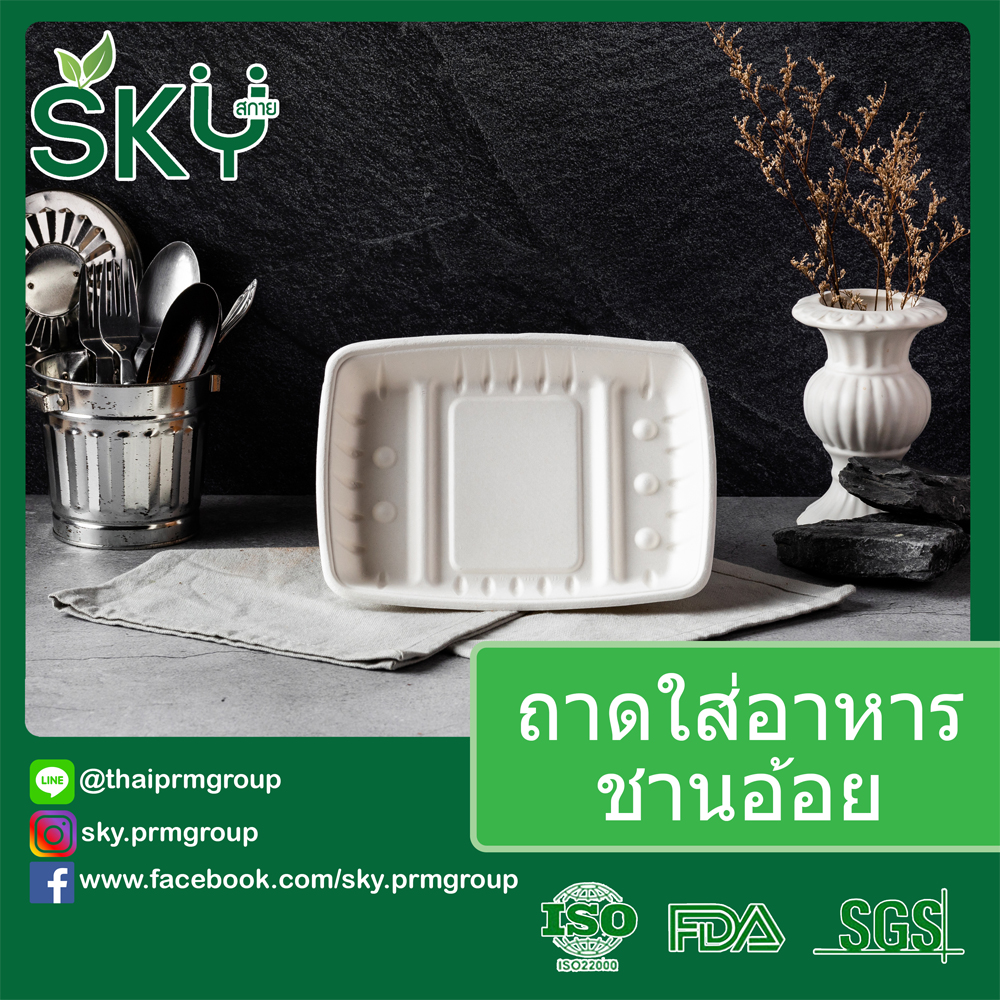[ยกลัง250 ชุด] SKY ถาดใส่อาหารชานอ้อย รุ่น T108