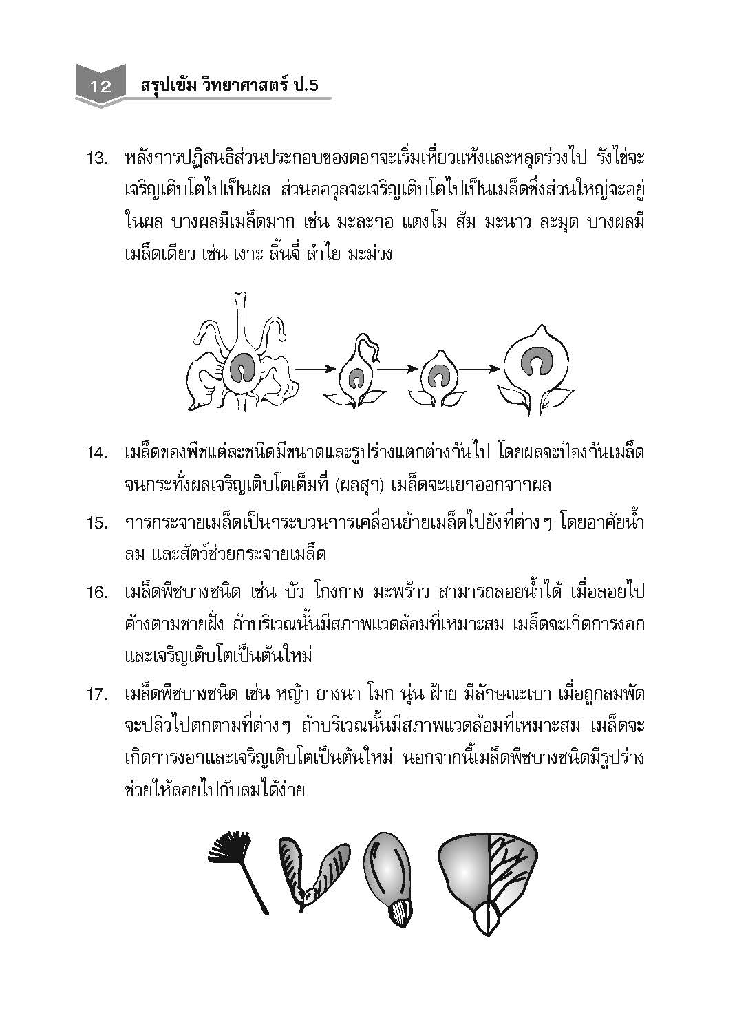 สรุปเข้ม วิทยาศาสตร์ ป.5