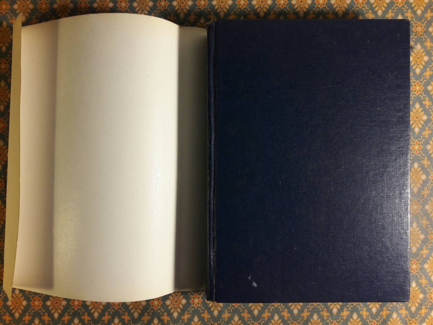 รัตติกัลยา (4 เล่มจบ)