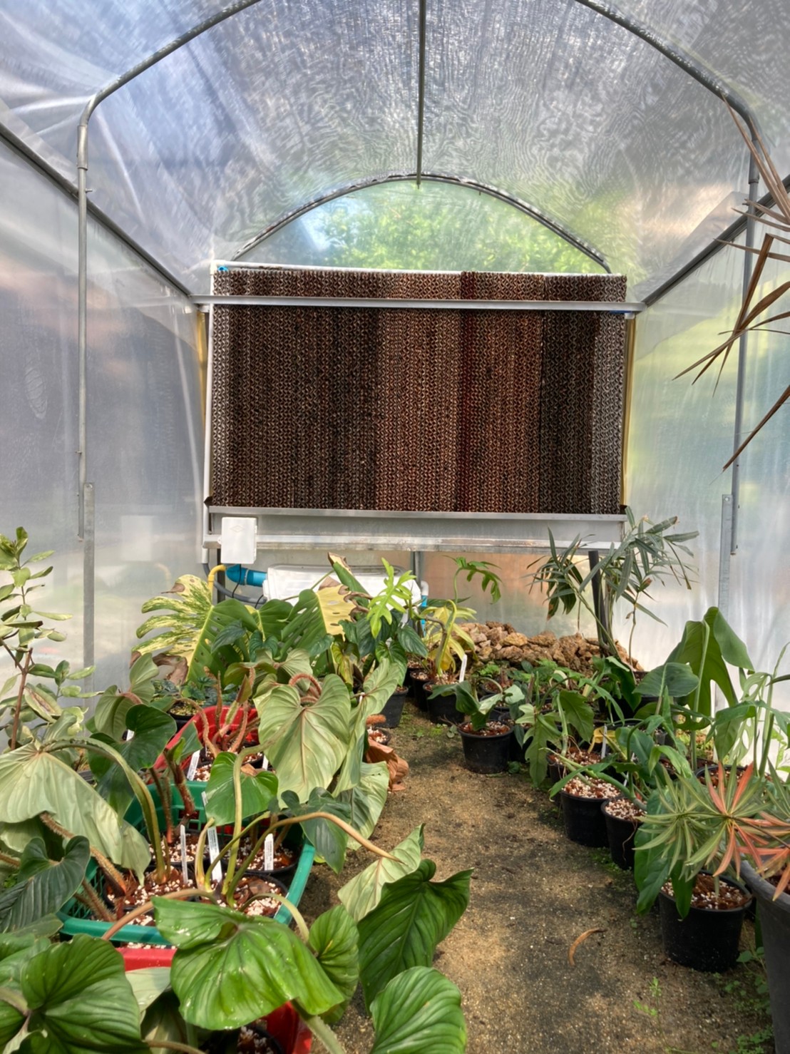 โรงเรือนระบบอีแวป (EVAP) สำเร็จรูป ขนาด 1.6 x 6 เมตร