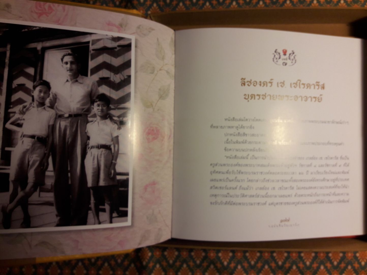 แผ่นดินวัยเยาว์