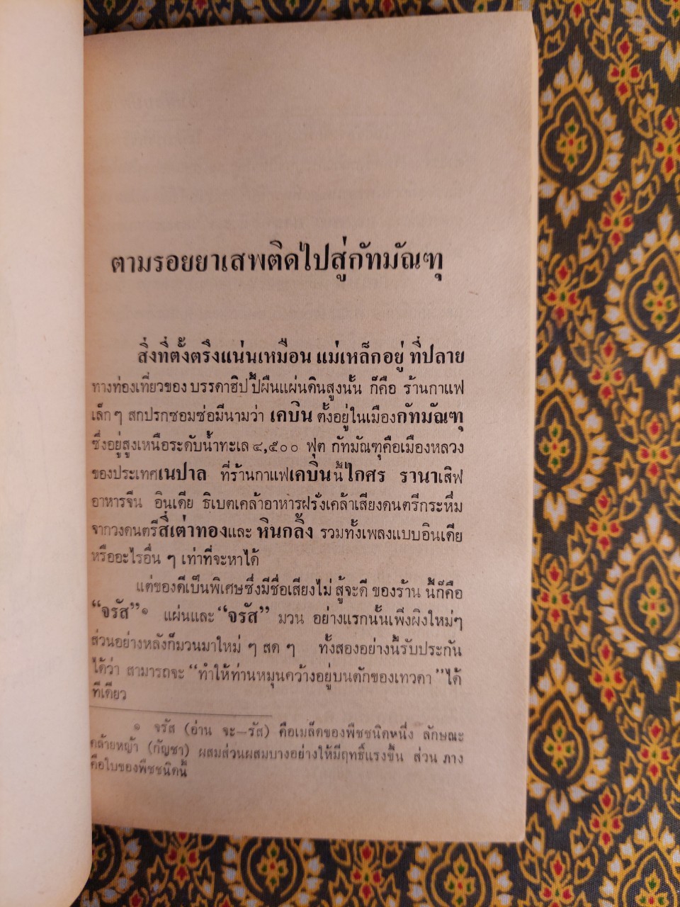 สัมผัสบุปผาชน Hippy Dharma