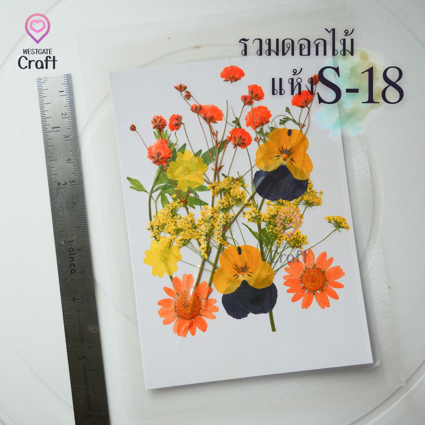 รวมดอกไม้แห้ง S ดอกไม้แห้งทับ ดอกไม้แบบคละ