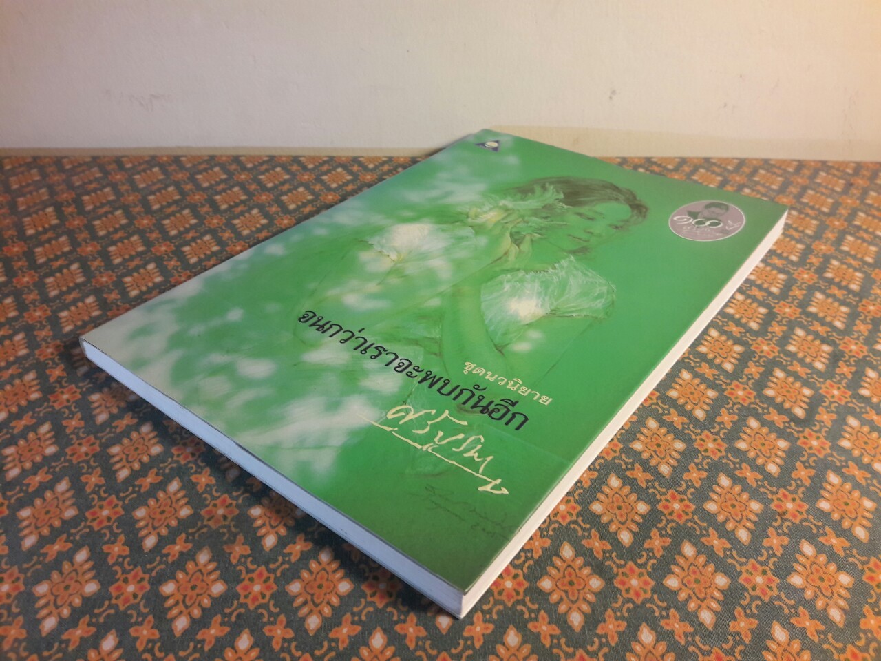 จนกว่าเราจะพบกันอีก