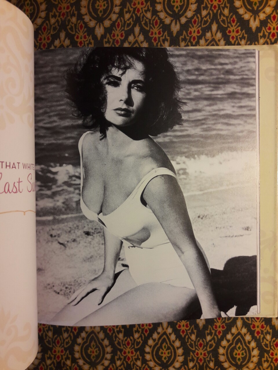 Elizabeth Taylor: A Loving Tribute