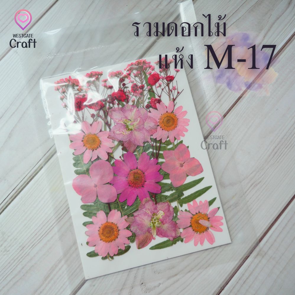 รวมดอกไม้แห้ง M ดอกไม้แห้งทับ ดอกไม้แบบคละ