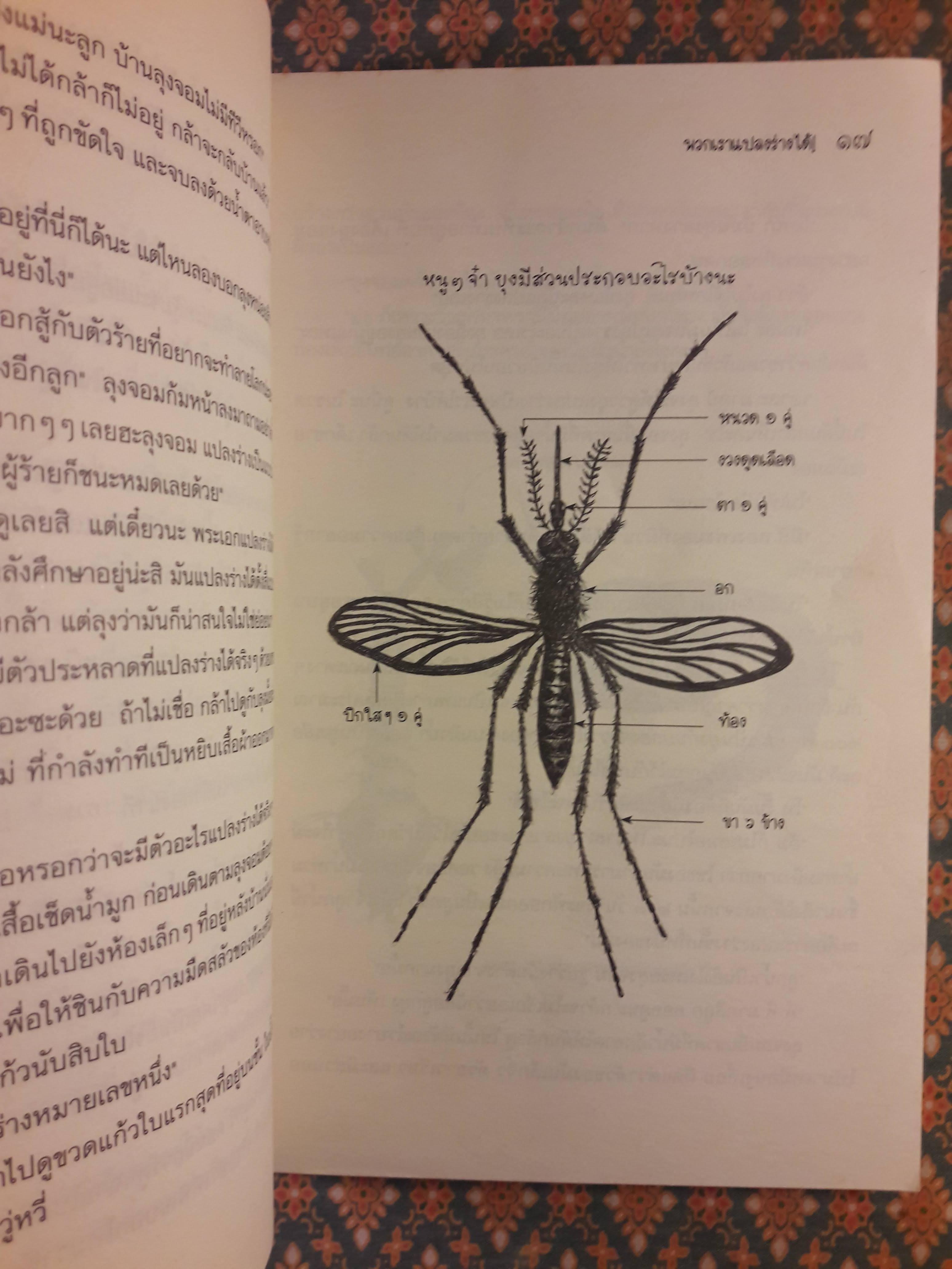 พวกเราแปลงร่างได้
