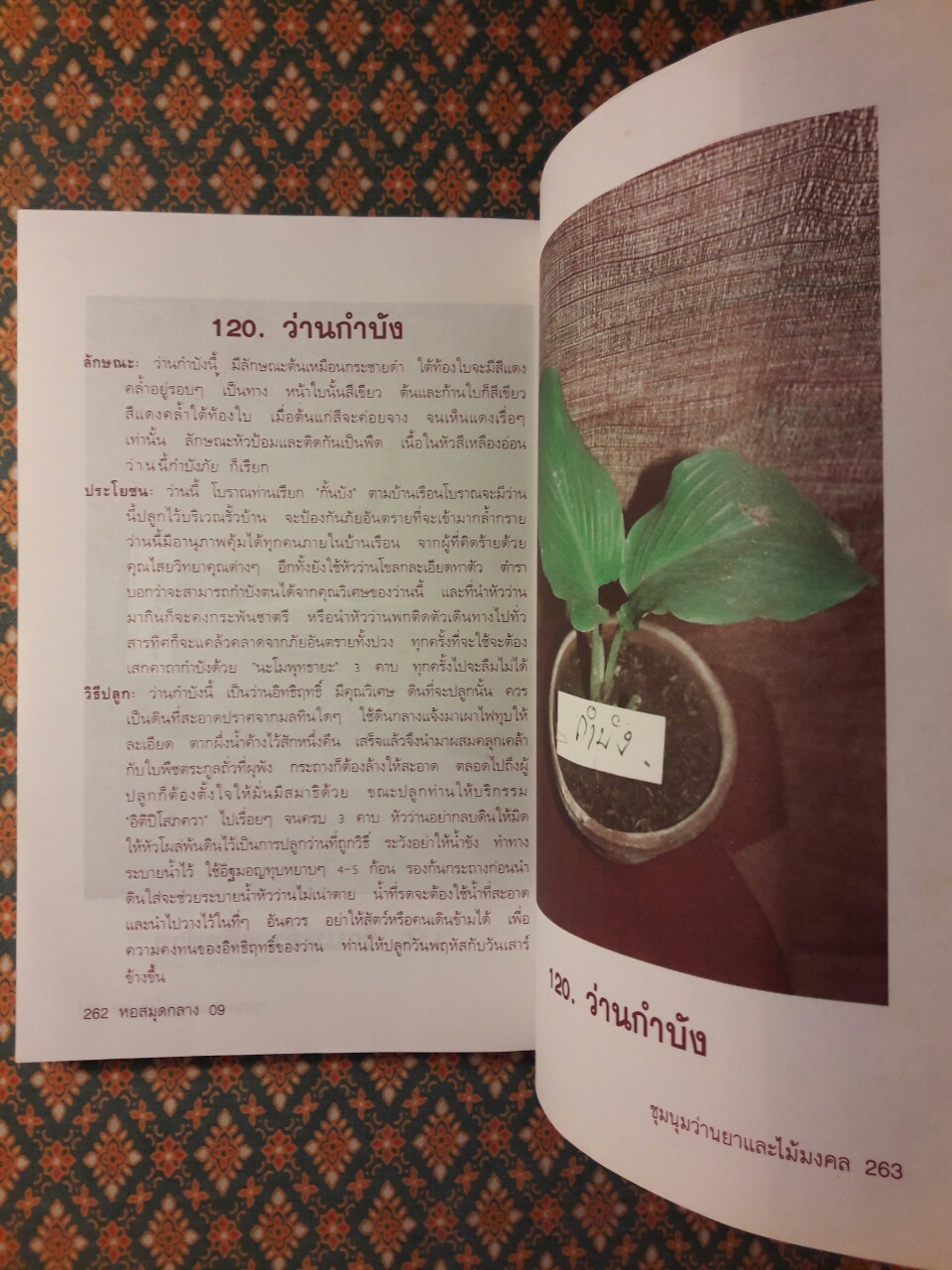 ชุมนุมว่านยาและไม้มงคล