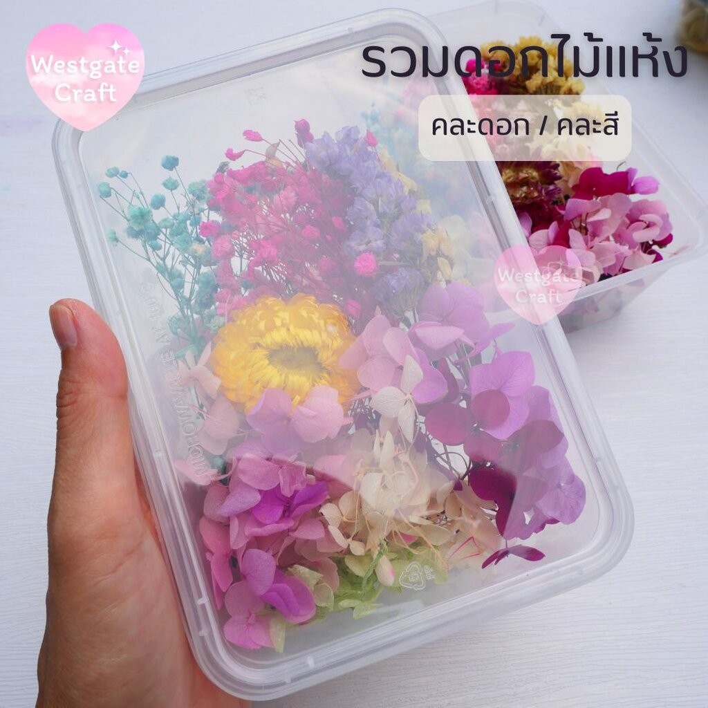 รวมดอกไม้แห้ง แบบกล่อง คละดอก คละสี สุ่ม