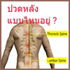 ปวดหลัง……ปัญหากวนใจ?